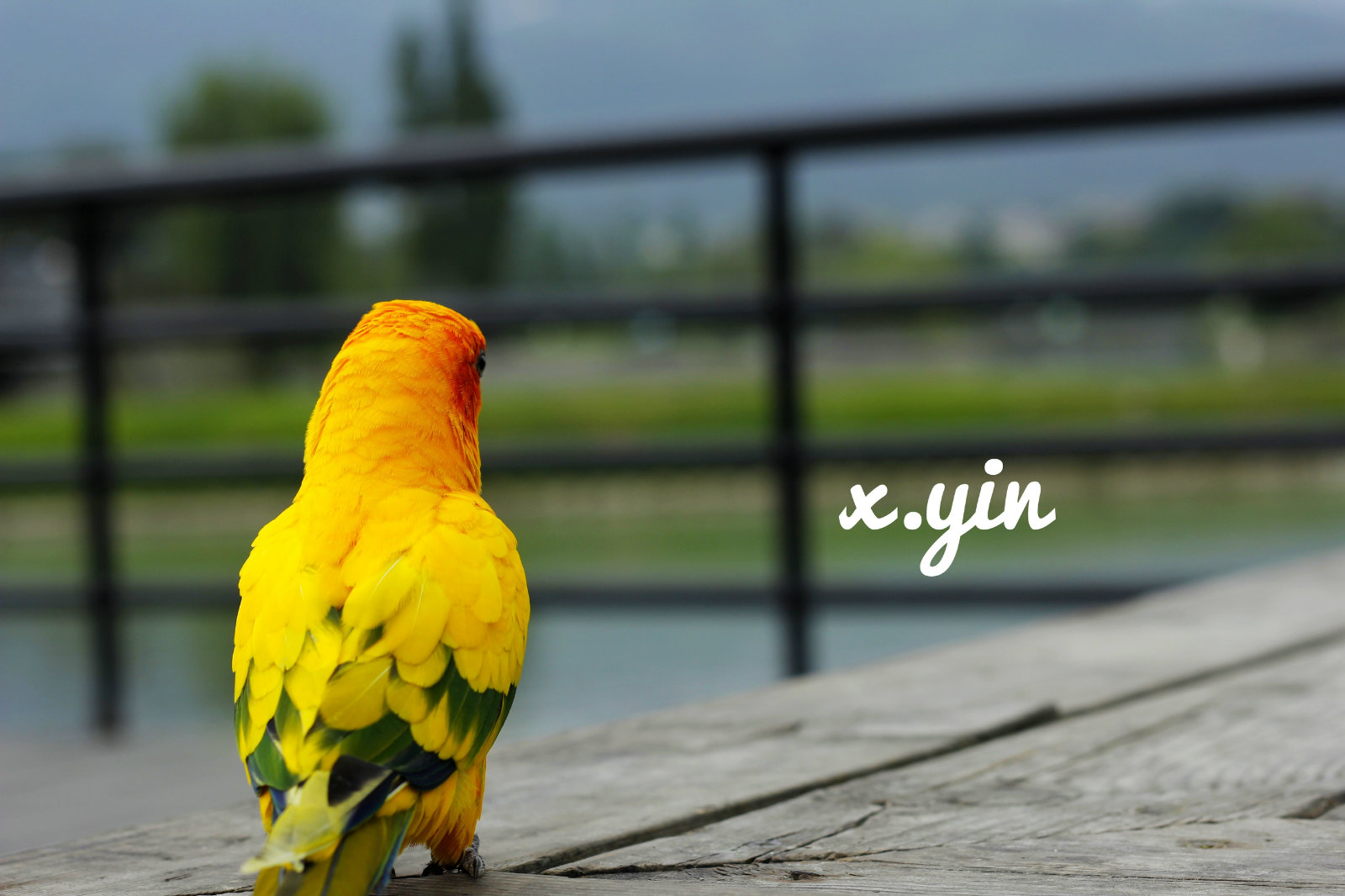 214415m33z81f7z13b4wh6.jpg