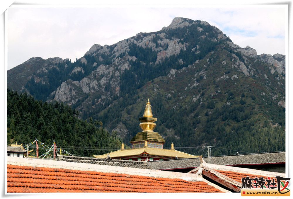 松藩小记-西充论坛-麻辣社区