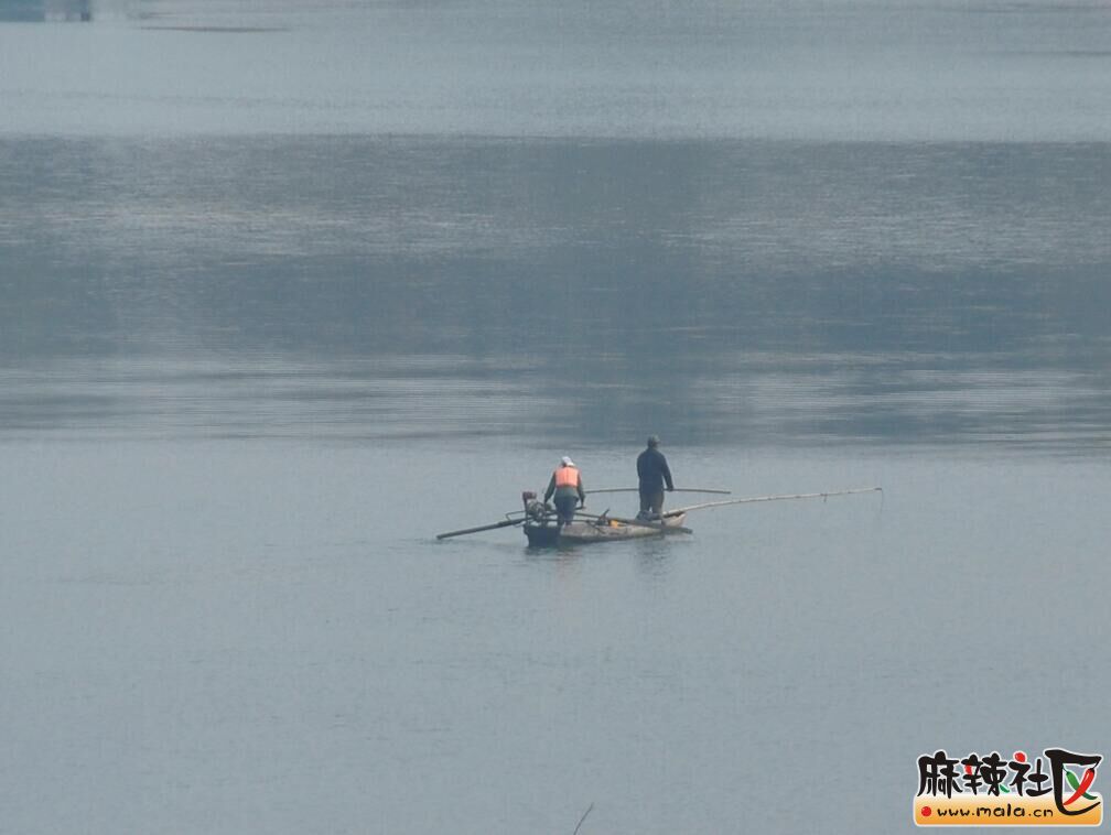 120402cfl1v11rxdhf7tdk.jpg