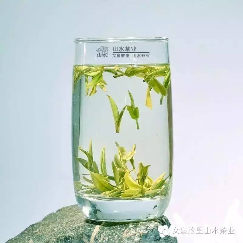 092459gyl88hmqzlq8dedl.jpg
