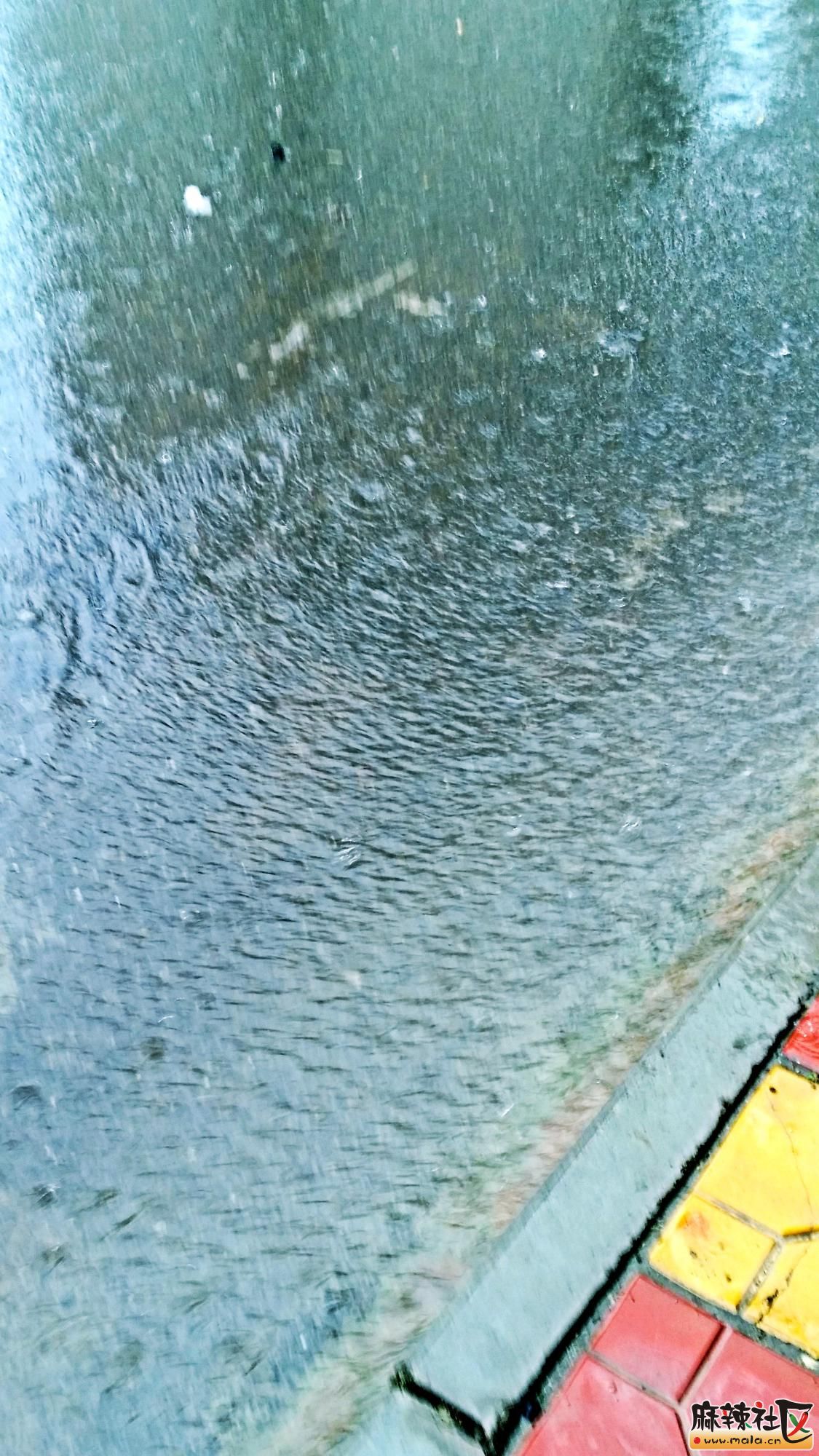 20161023_091132.jpg