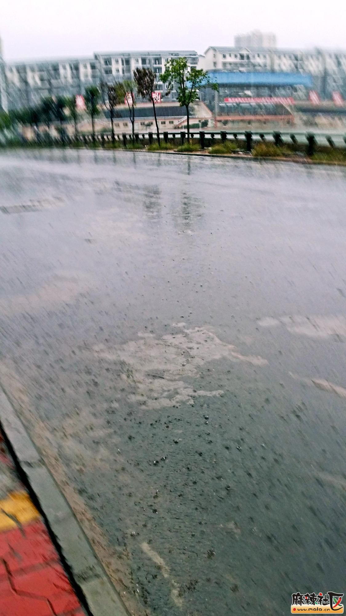 20161023_091206.jpg