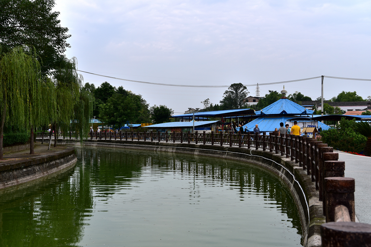 DSC_9452_.jpg