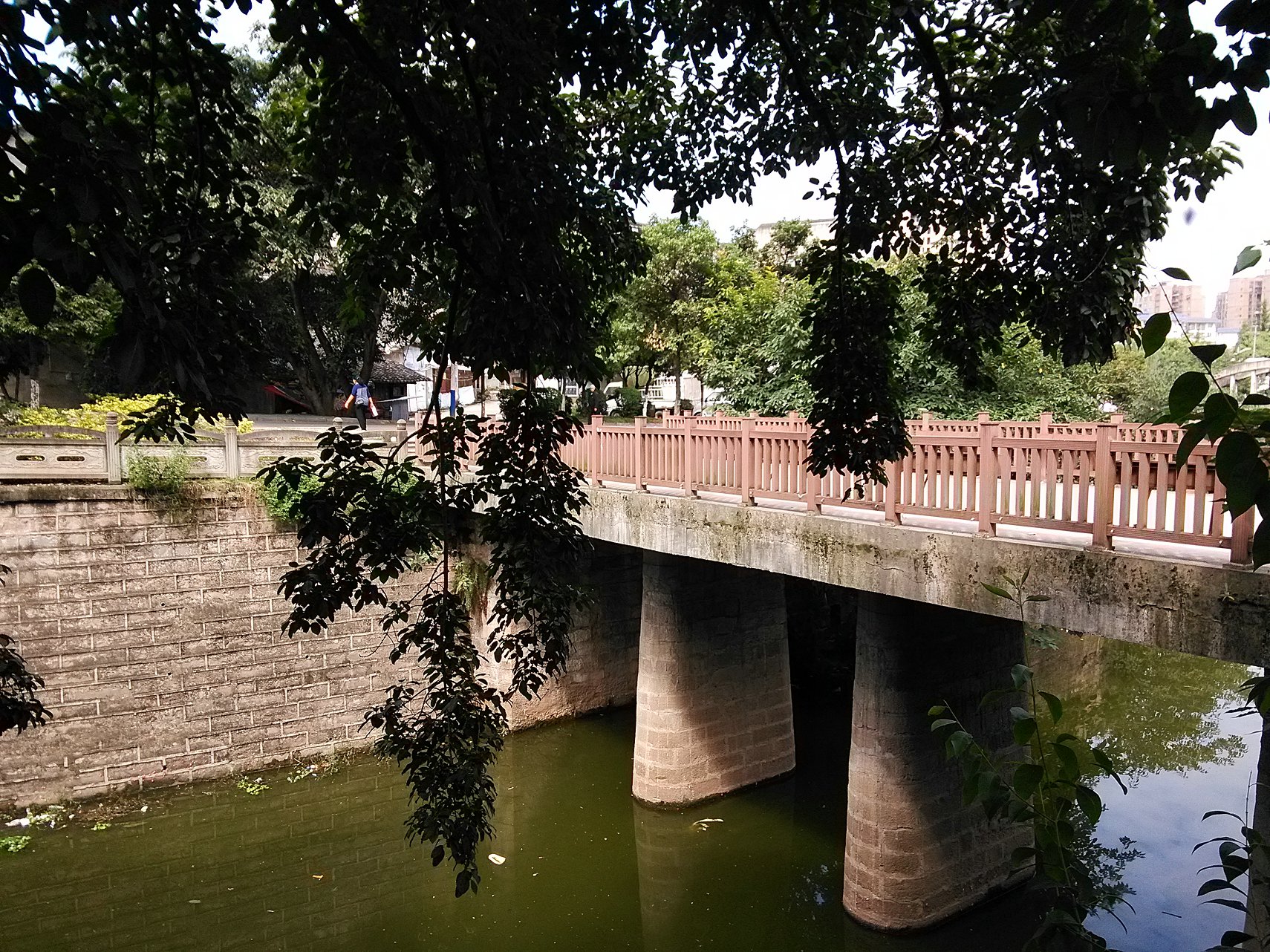 IMG_20160929_135625.jpg