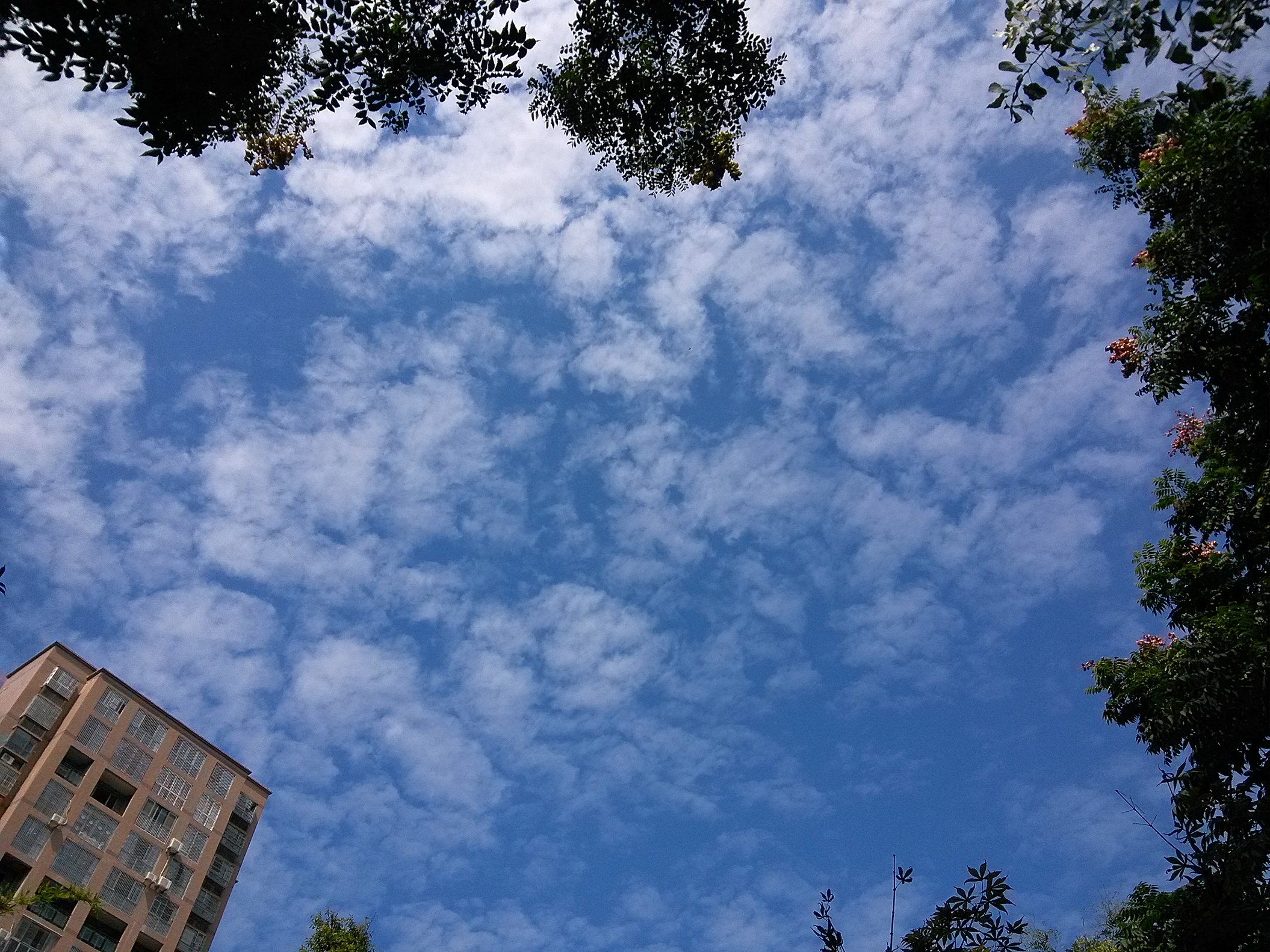 IMG_20160929_140822.jpg