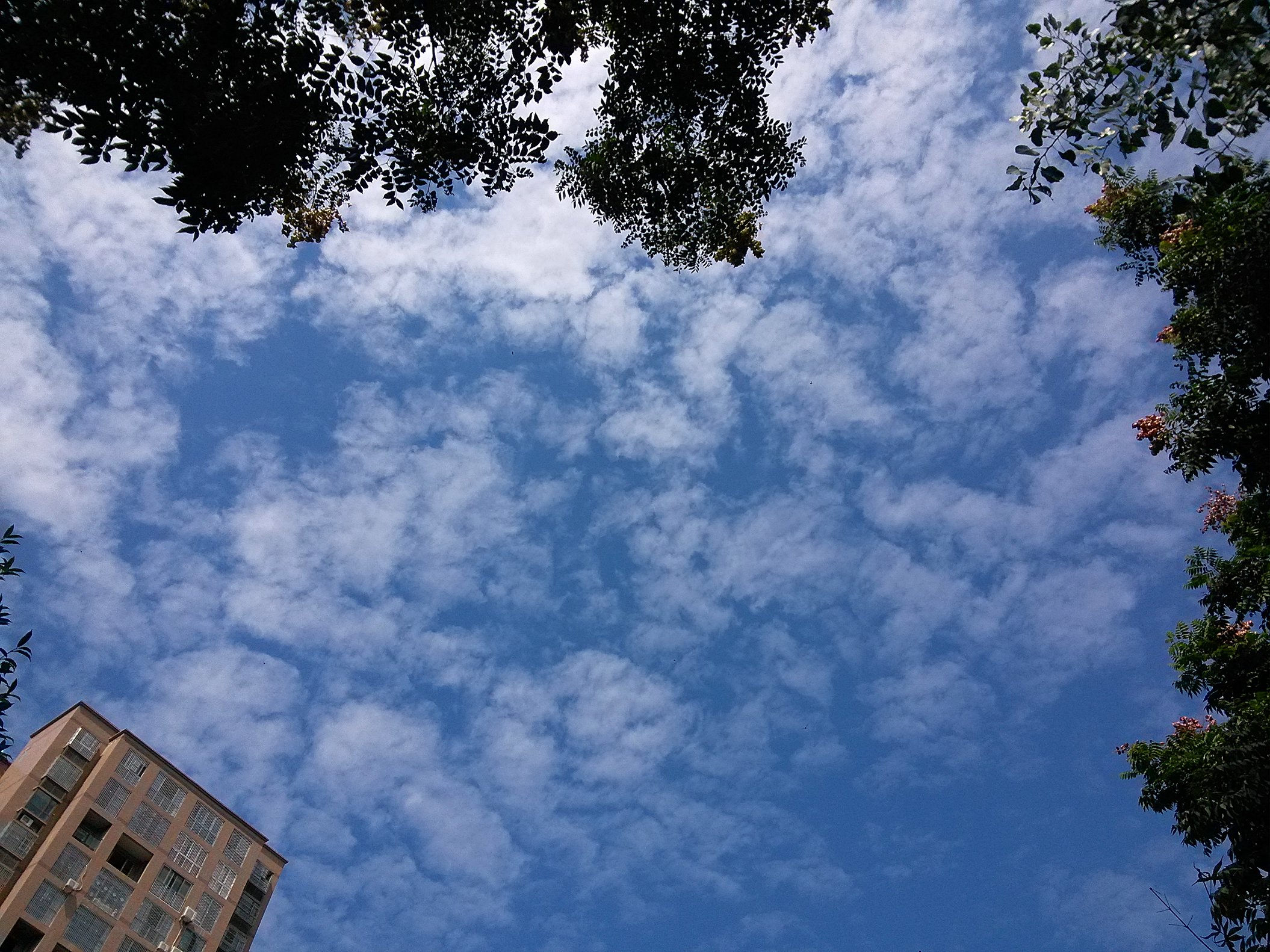IMG_20160929_140825.jpg
