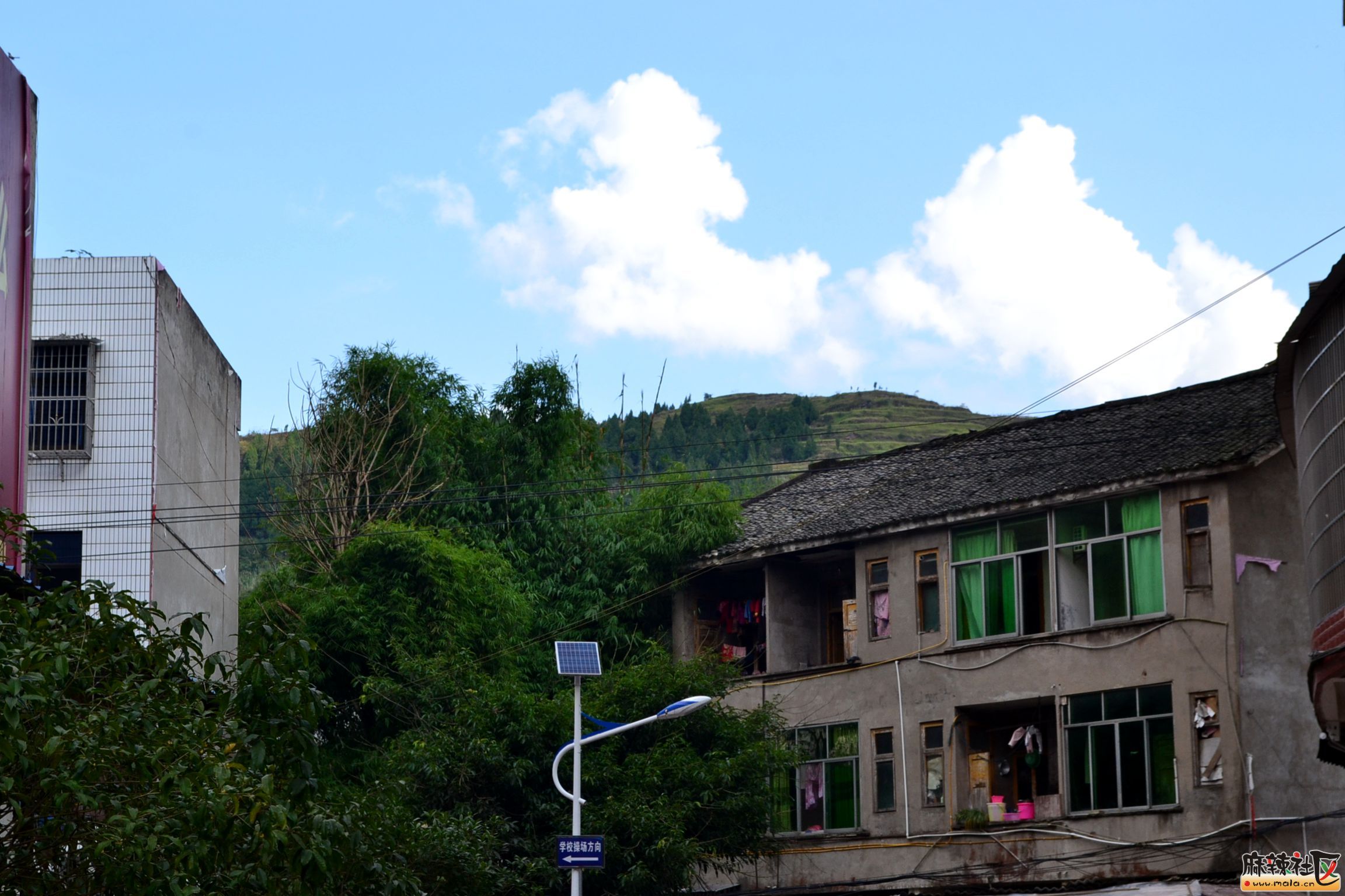 DSC_0402.JPG