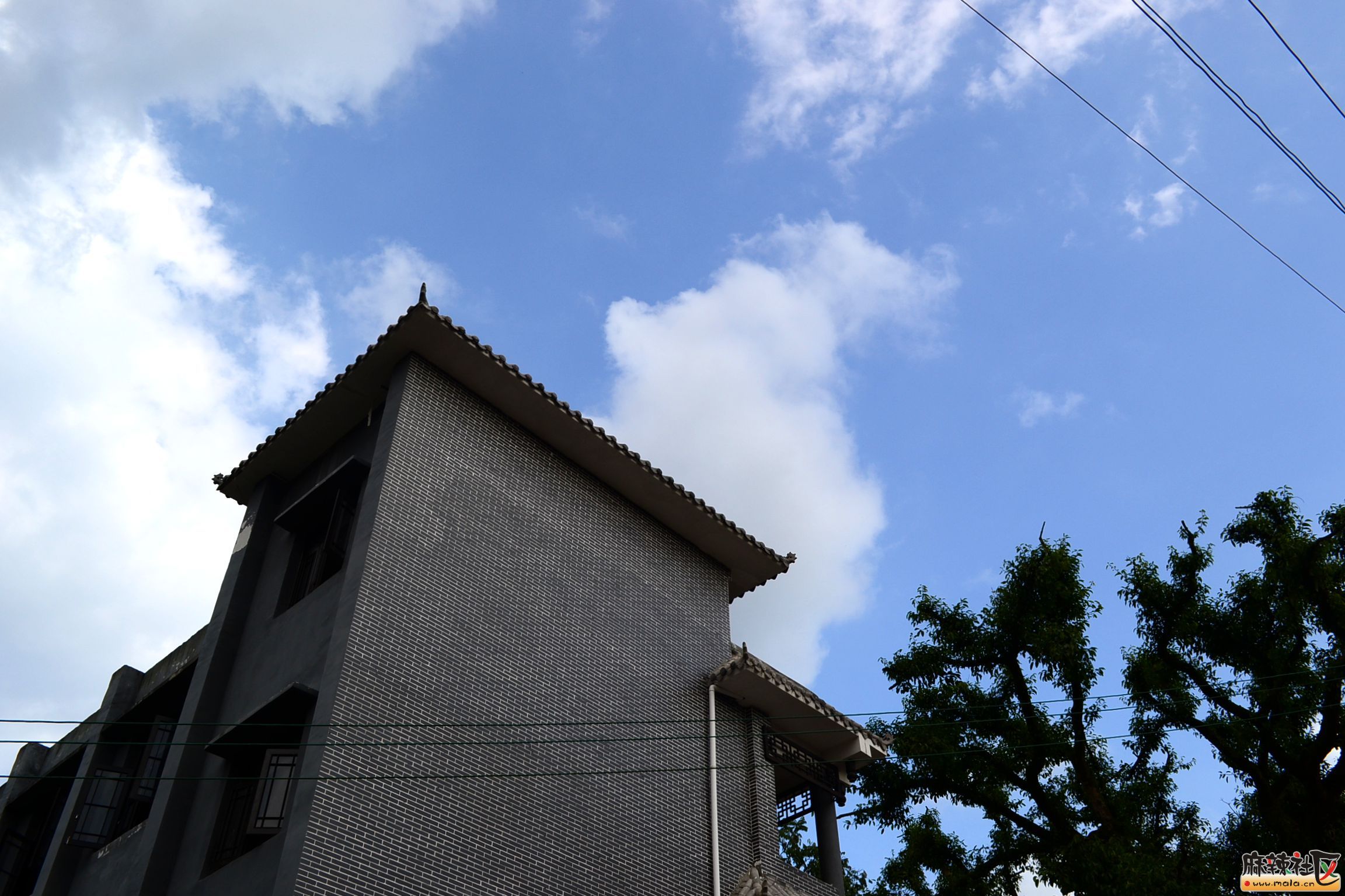 DSC_0418.JPG