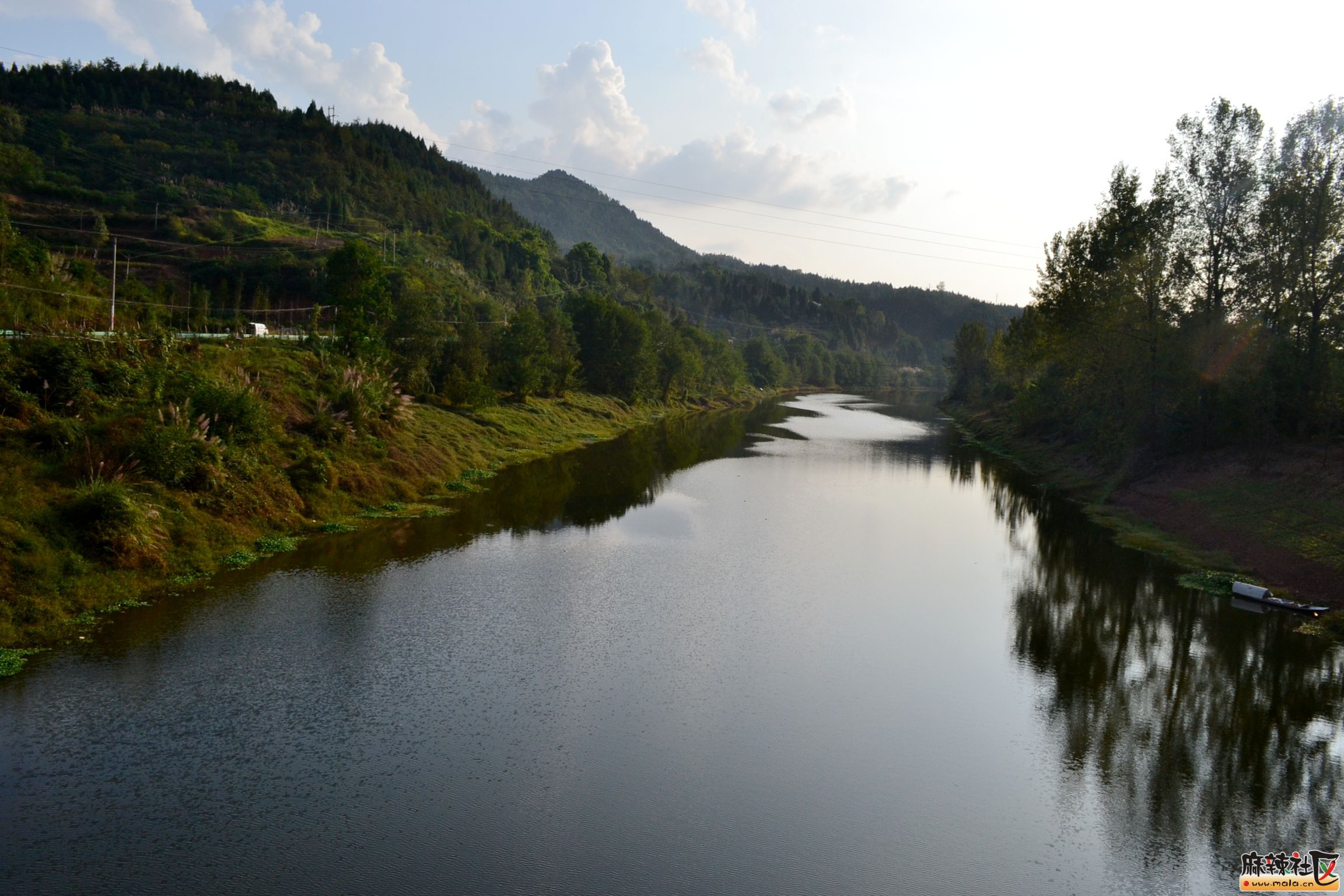 DSC_0448.JPG