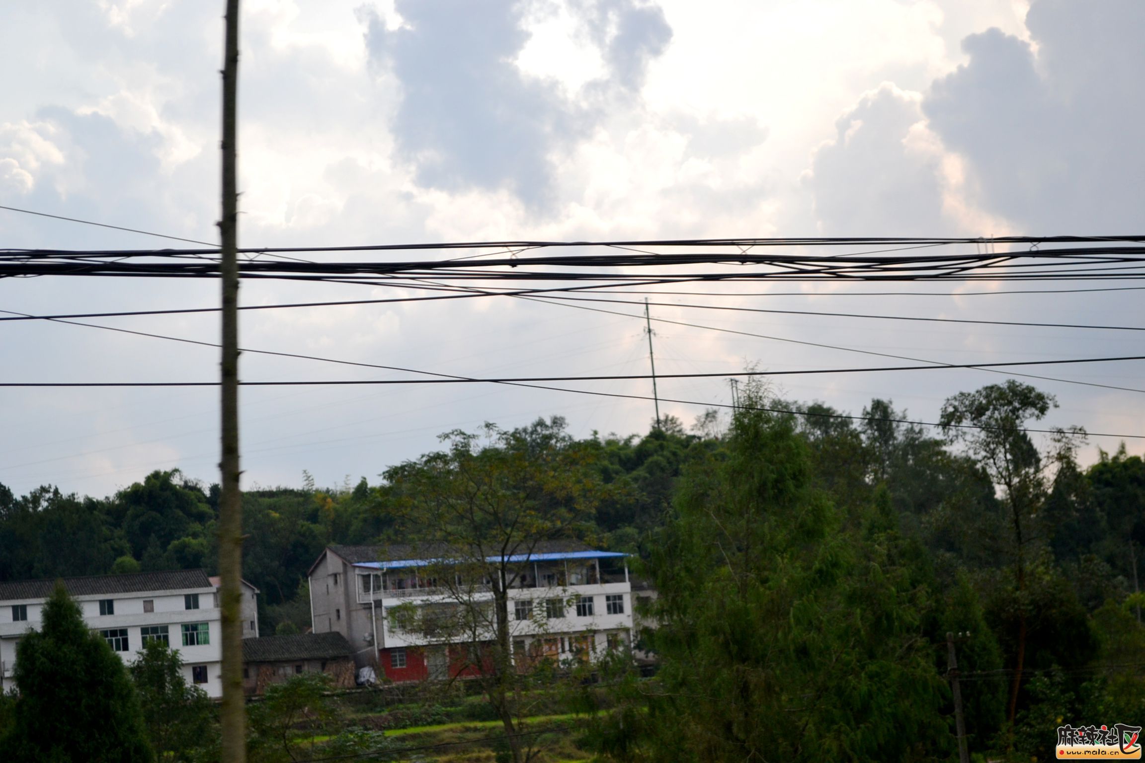 DSC_0344.JPG