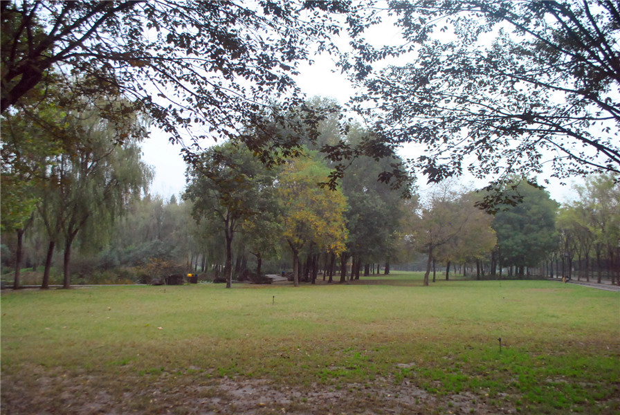 DSC_0544.JPG