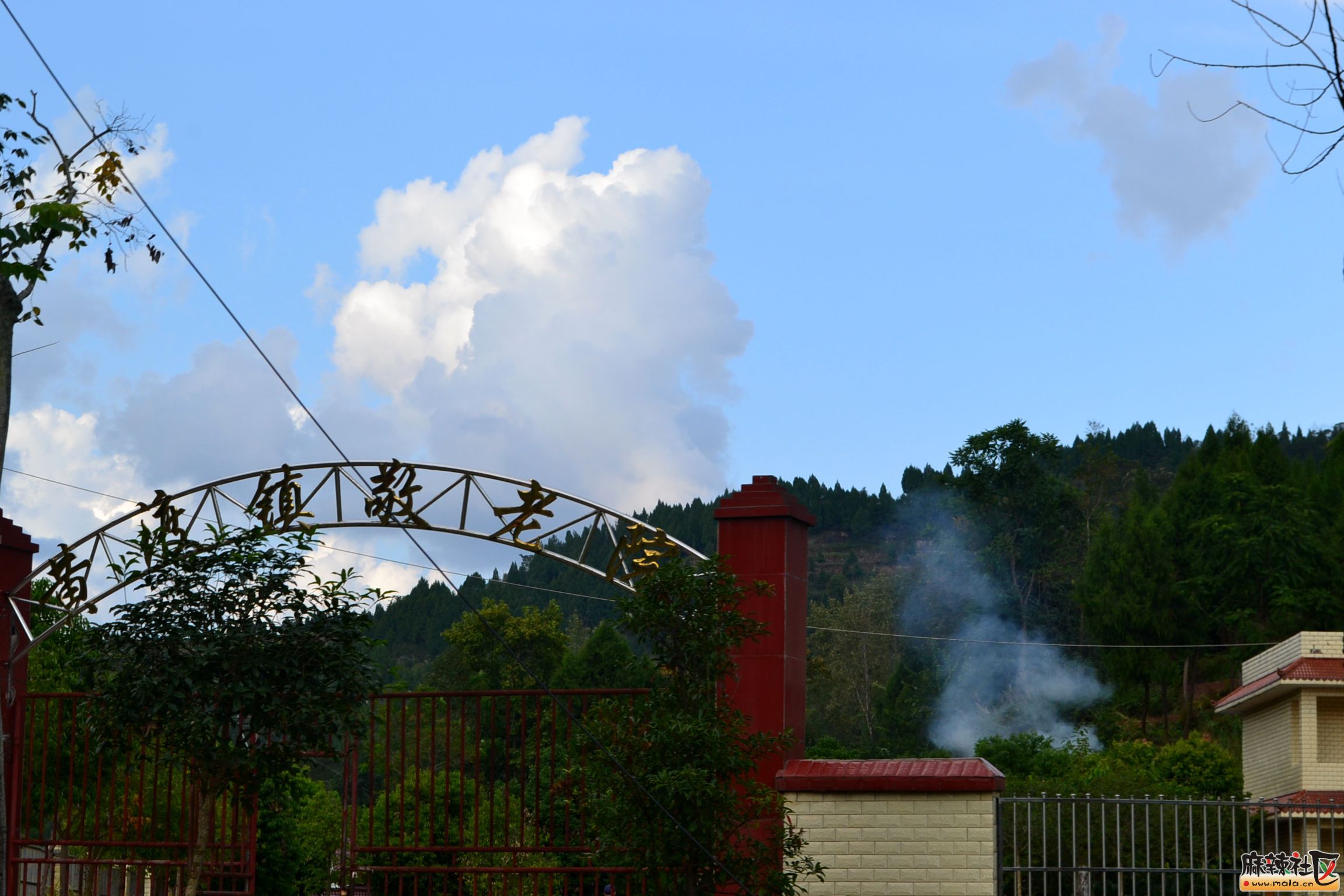 DSC_0425.JPG