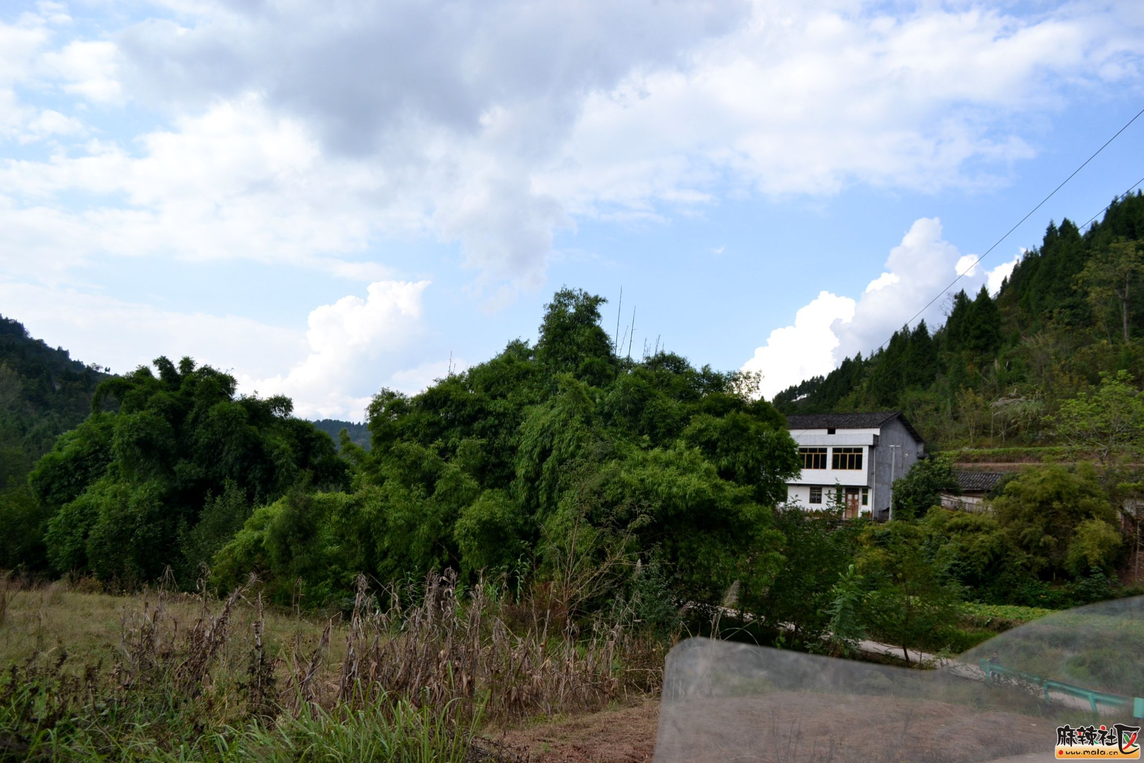 DSC_0429.JPG