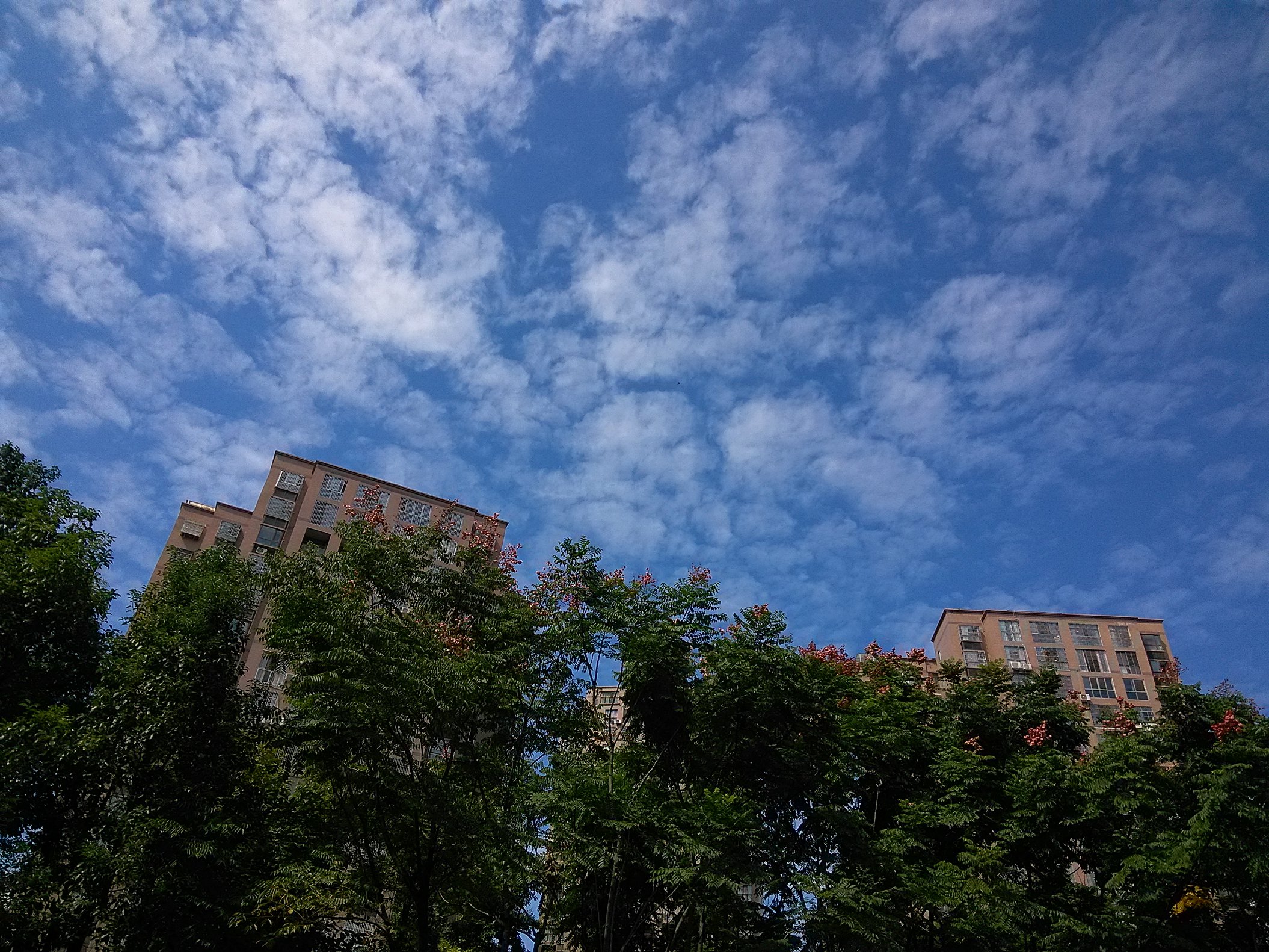 IMG_20160929_140926.jpg