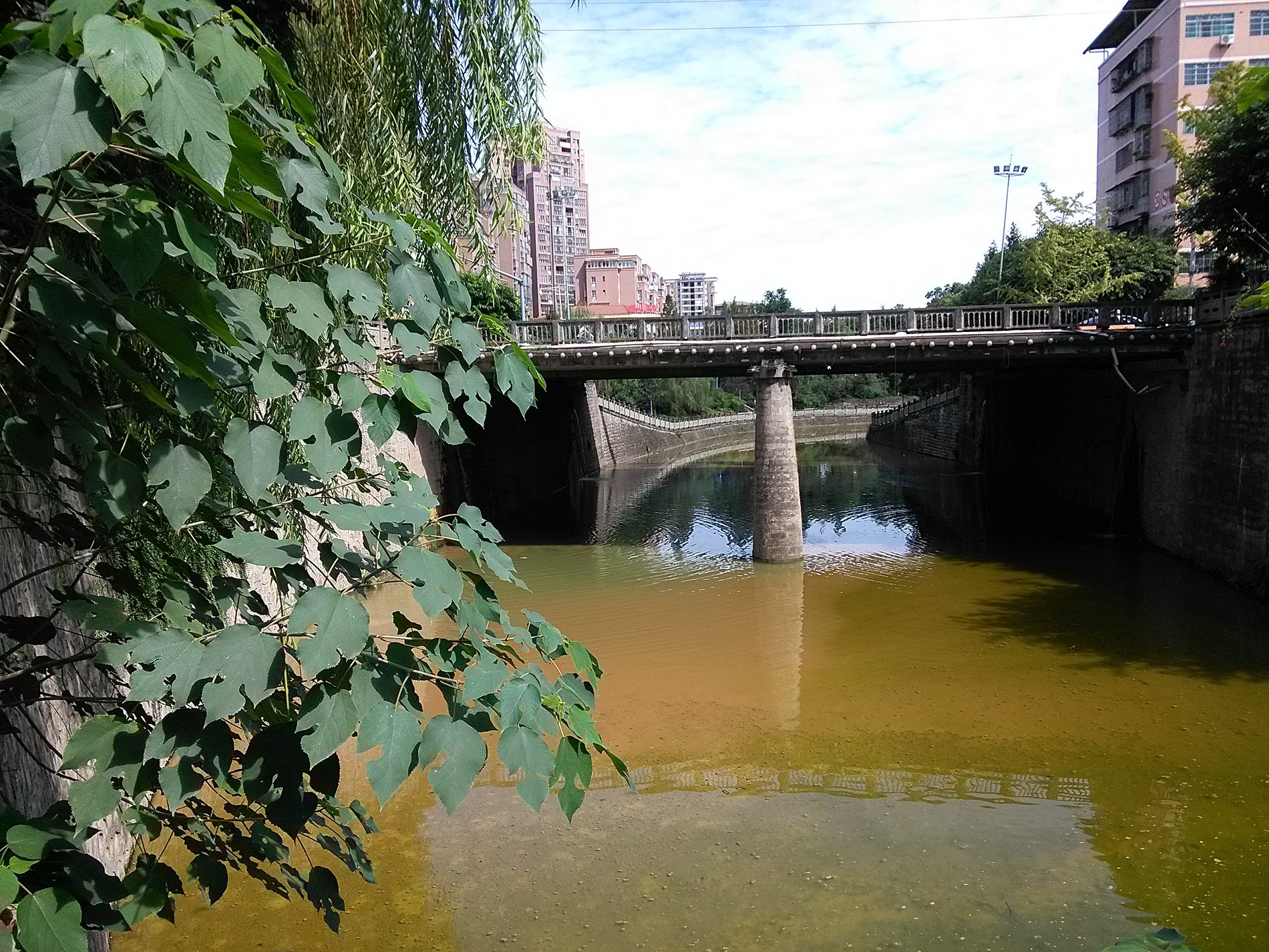 IMG_20160929_141014.jpg