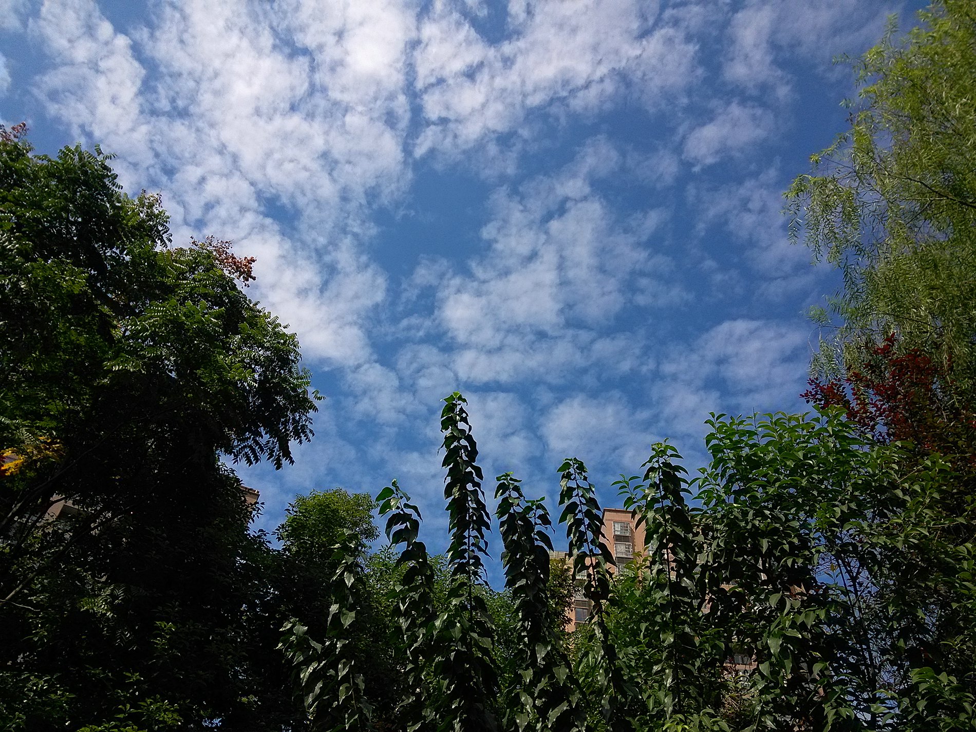 IMG_20160929_141034.jpg