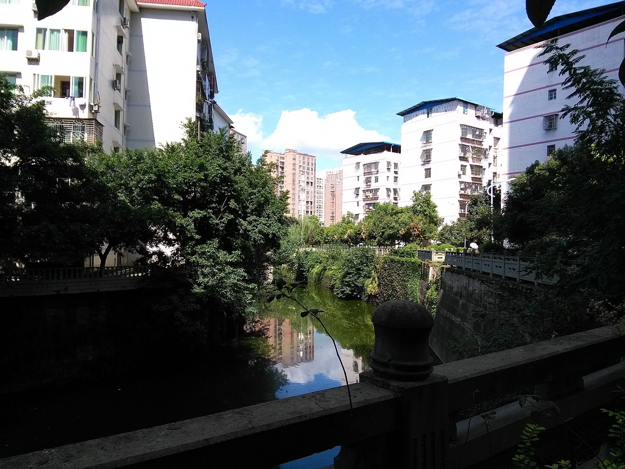 IMG_20160929_141839.jpg