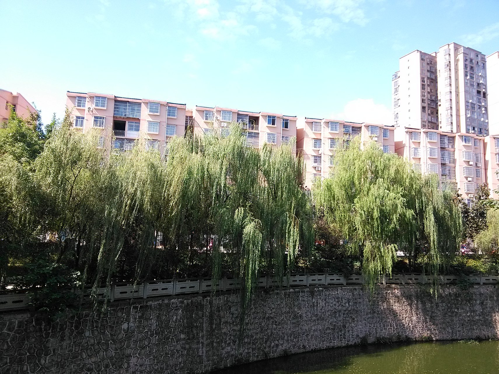 IMG_20160929_142202.jpg