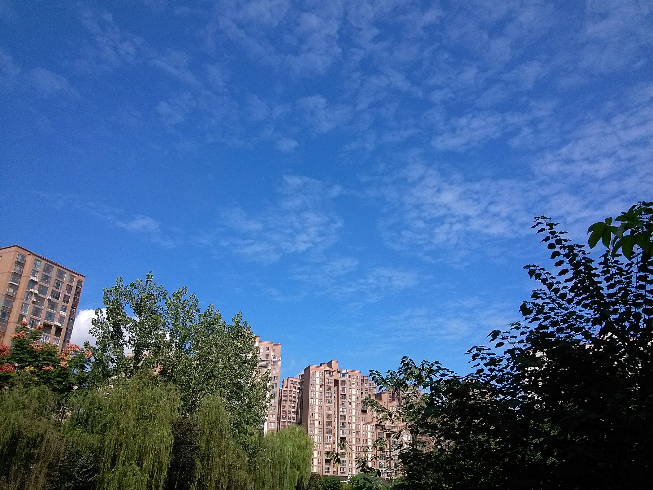 IMG_20160929_142340.jpg