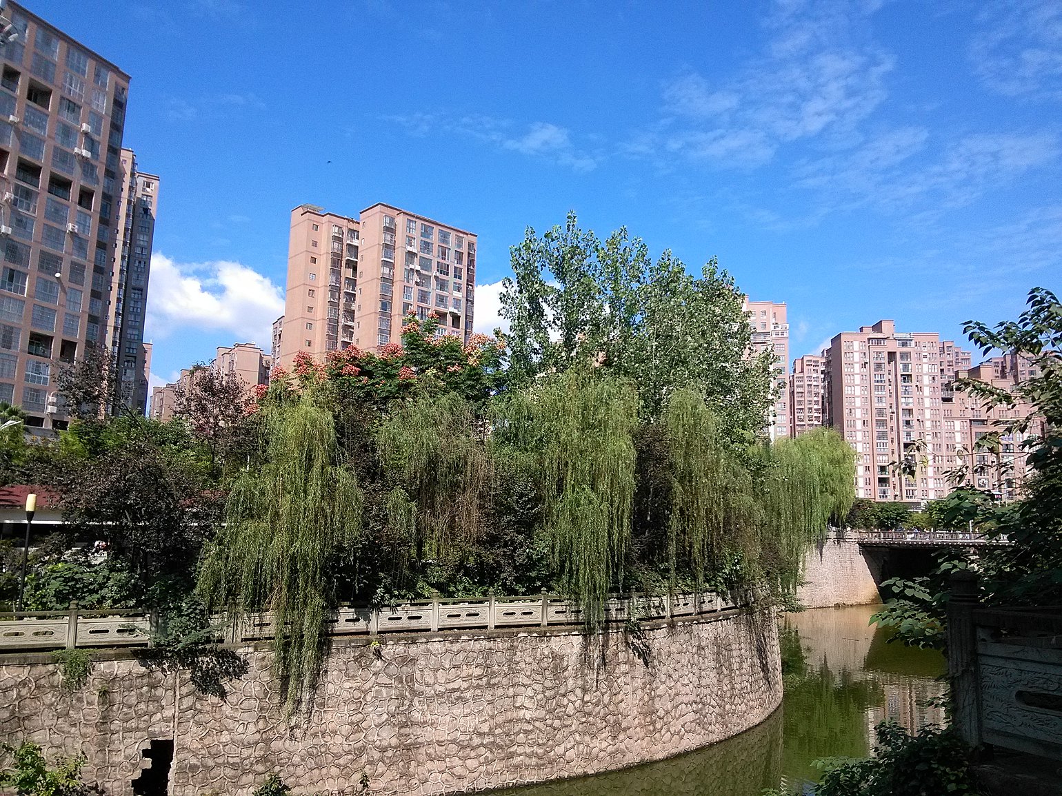 IMG_20160929_142350.jpg