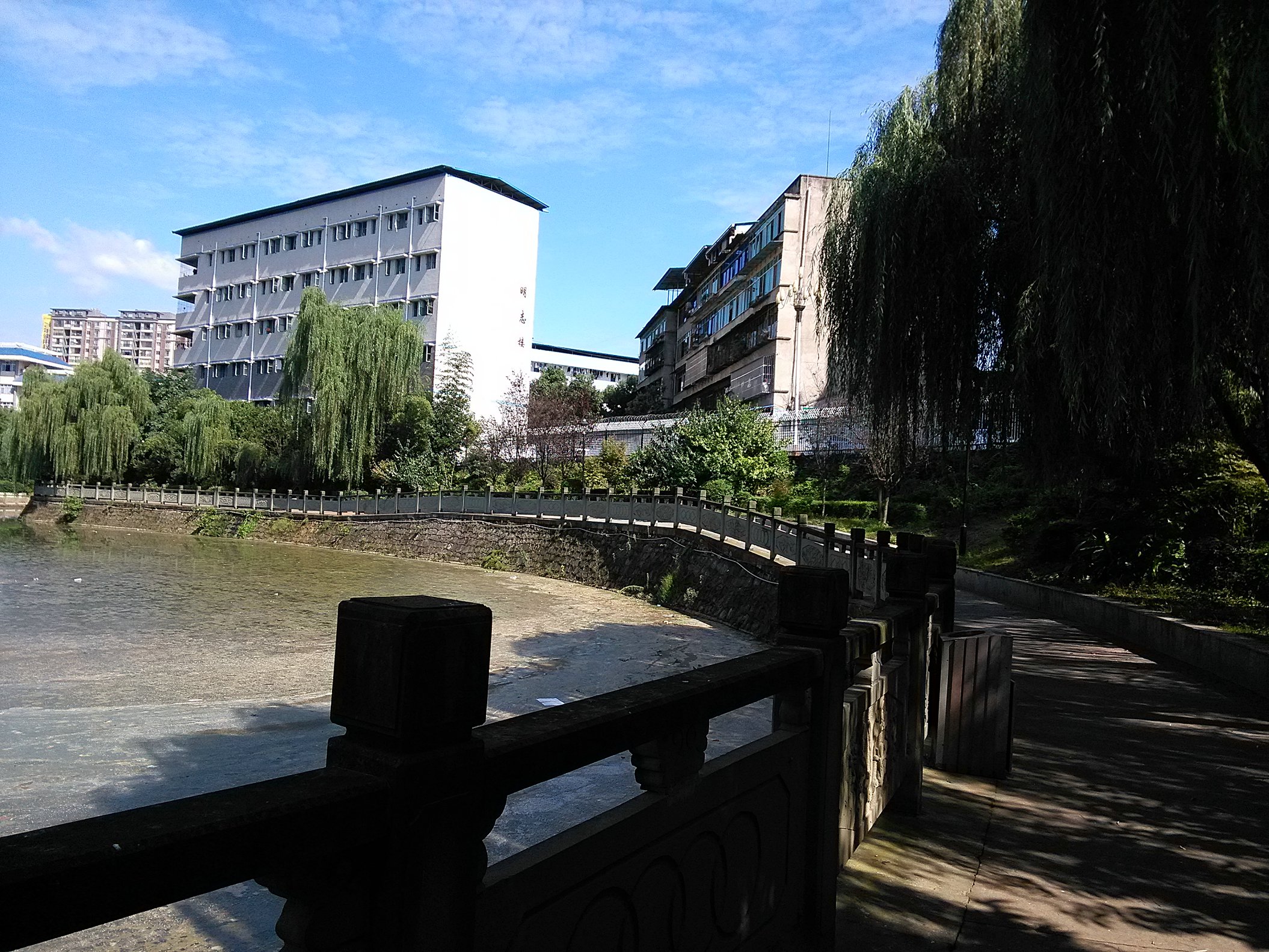 IMG_20160929_143250.jpg