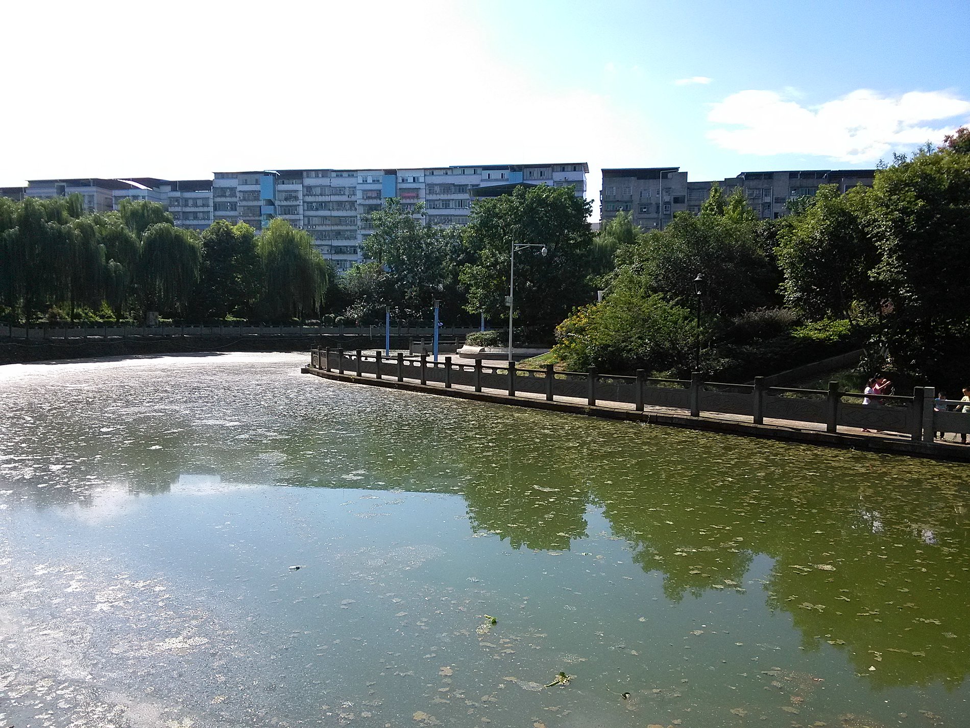 IMG_20160929_143530.jpg