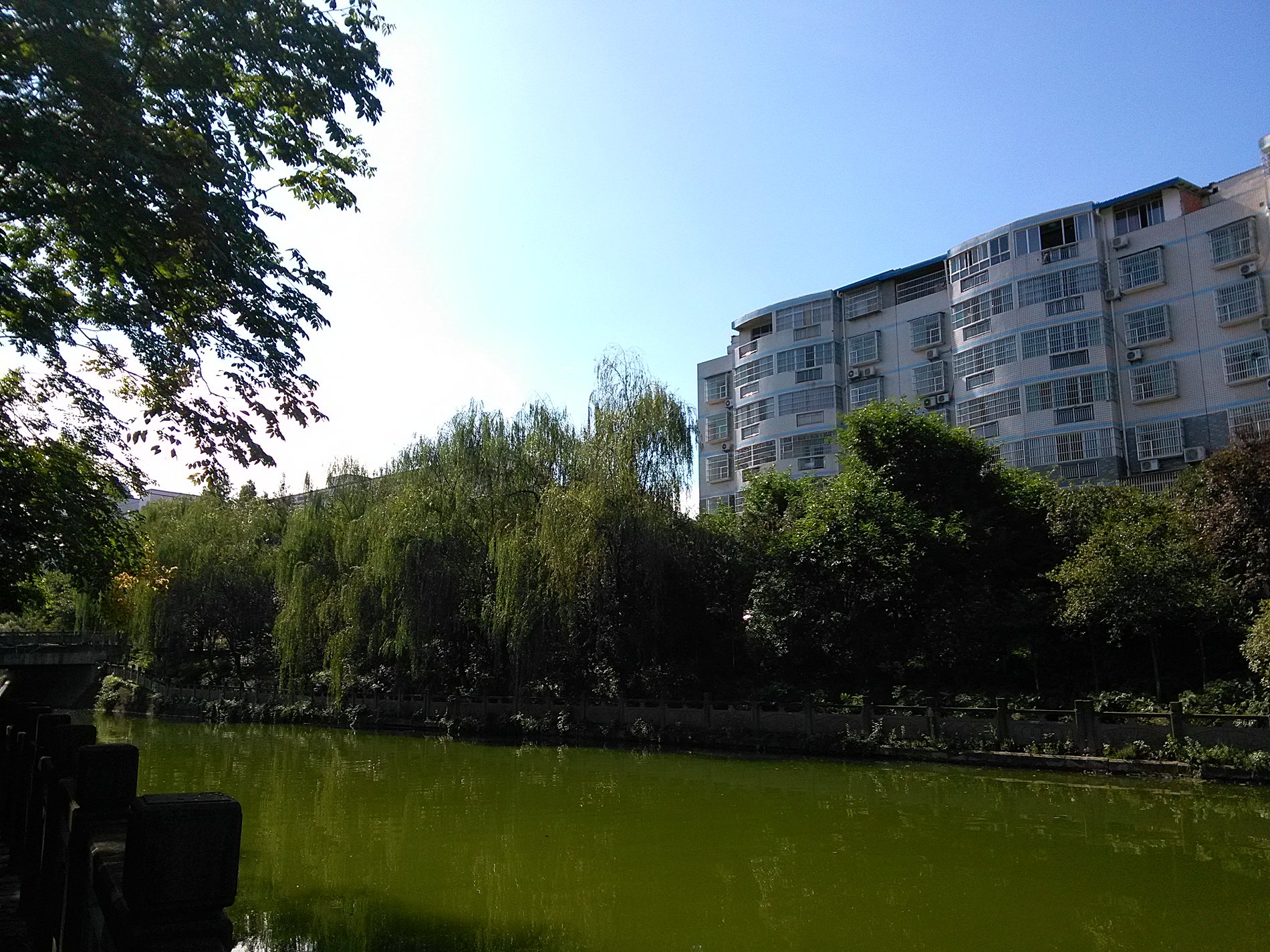 IMG_20160929_150334.jpg
