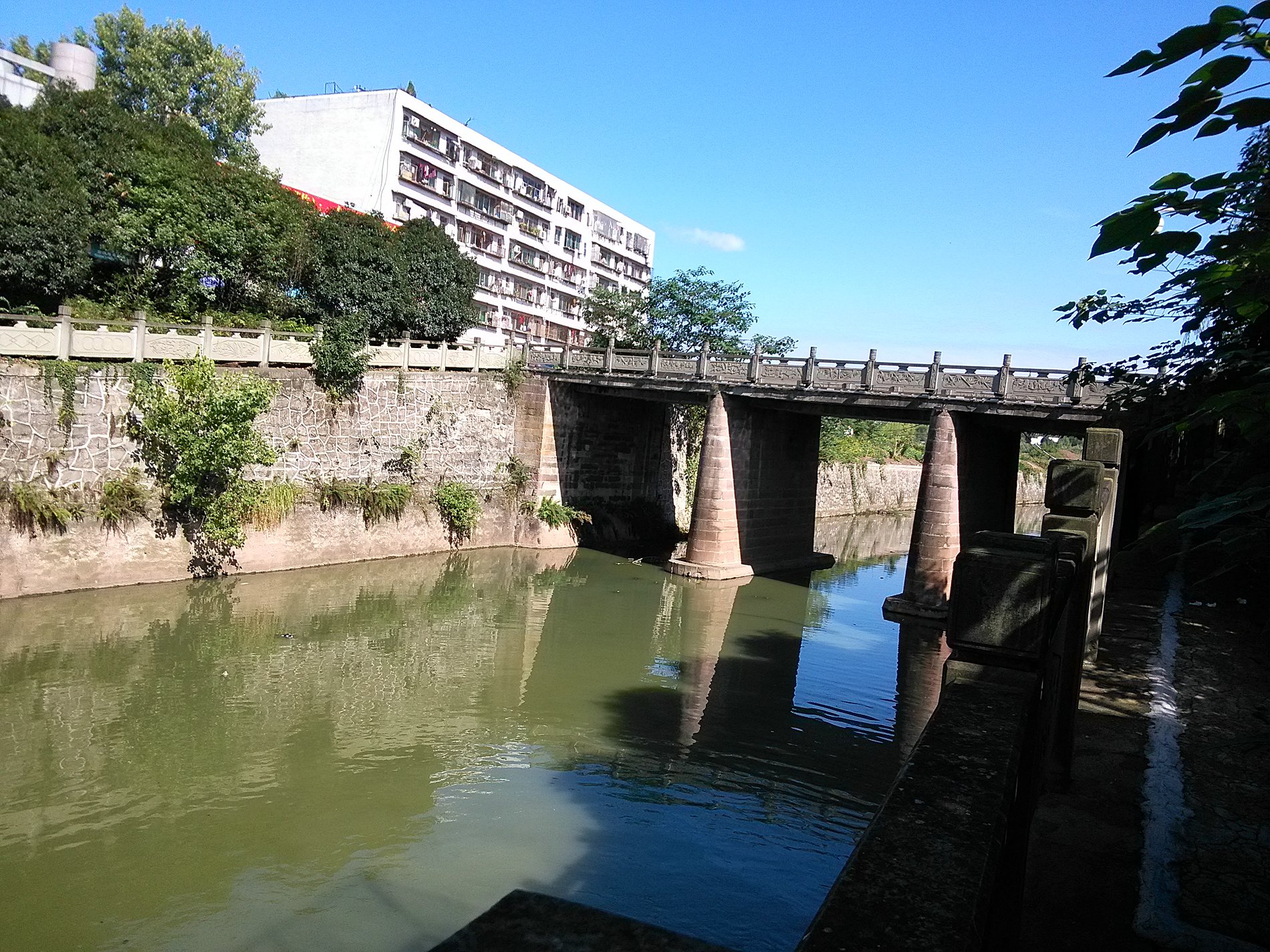 IMG_20160929_150632.jpg