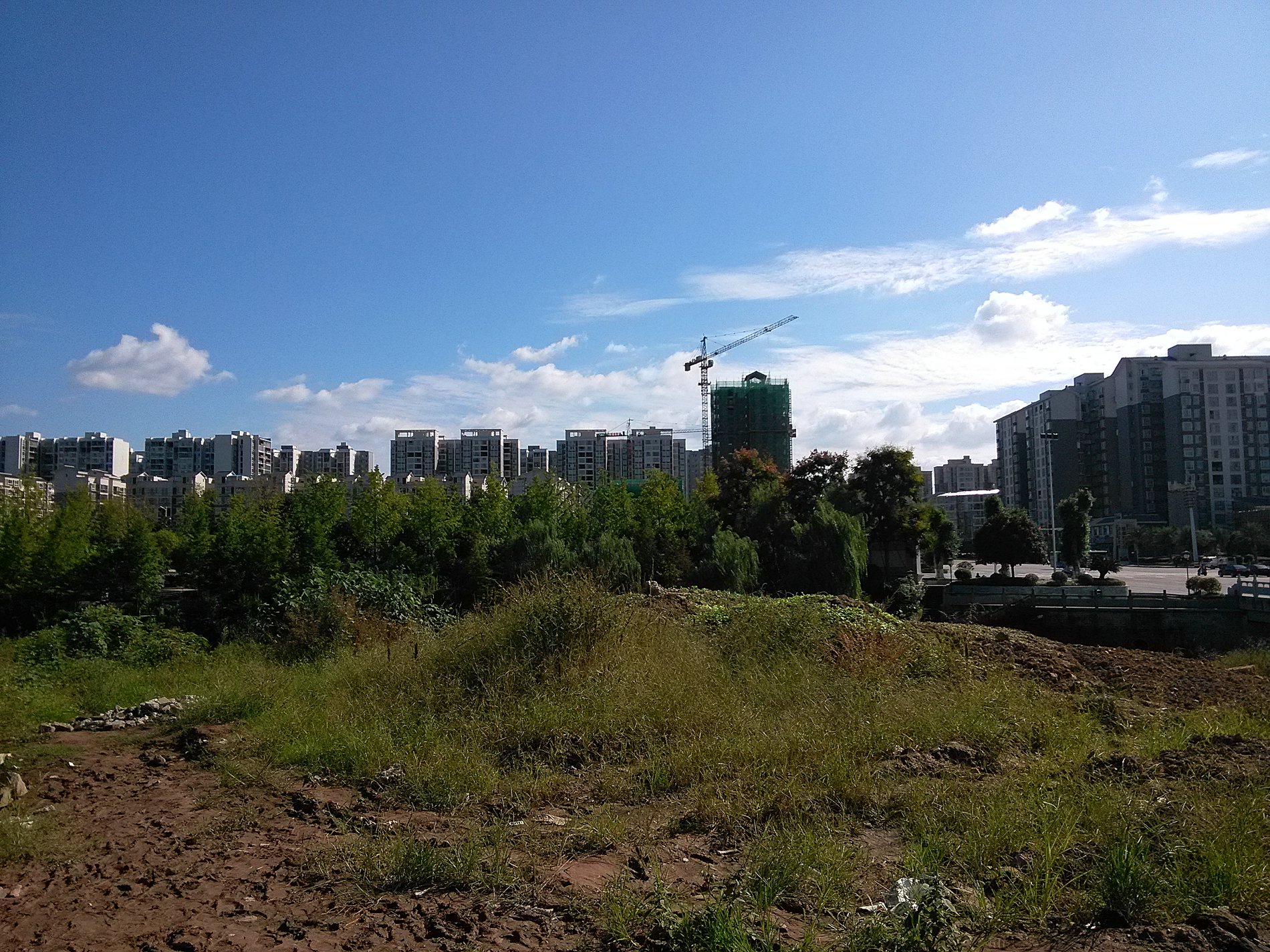 IMG_20160929_151359.jpg