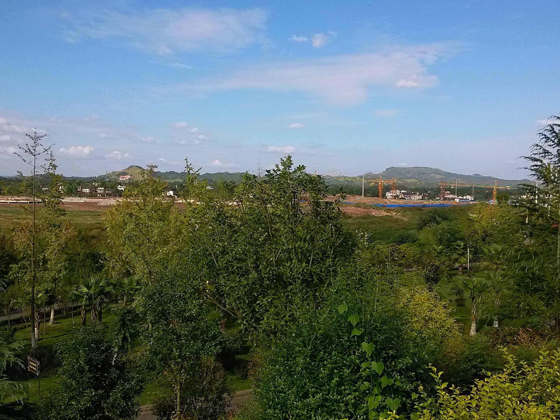IMG_20160929_155659.jpg