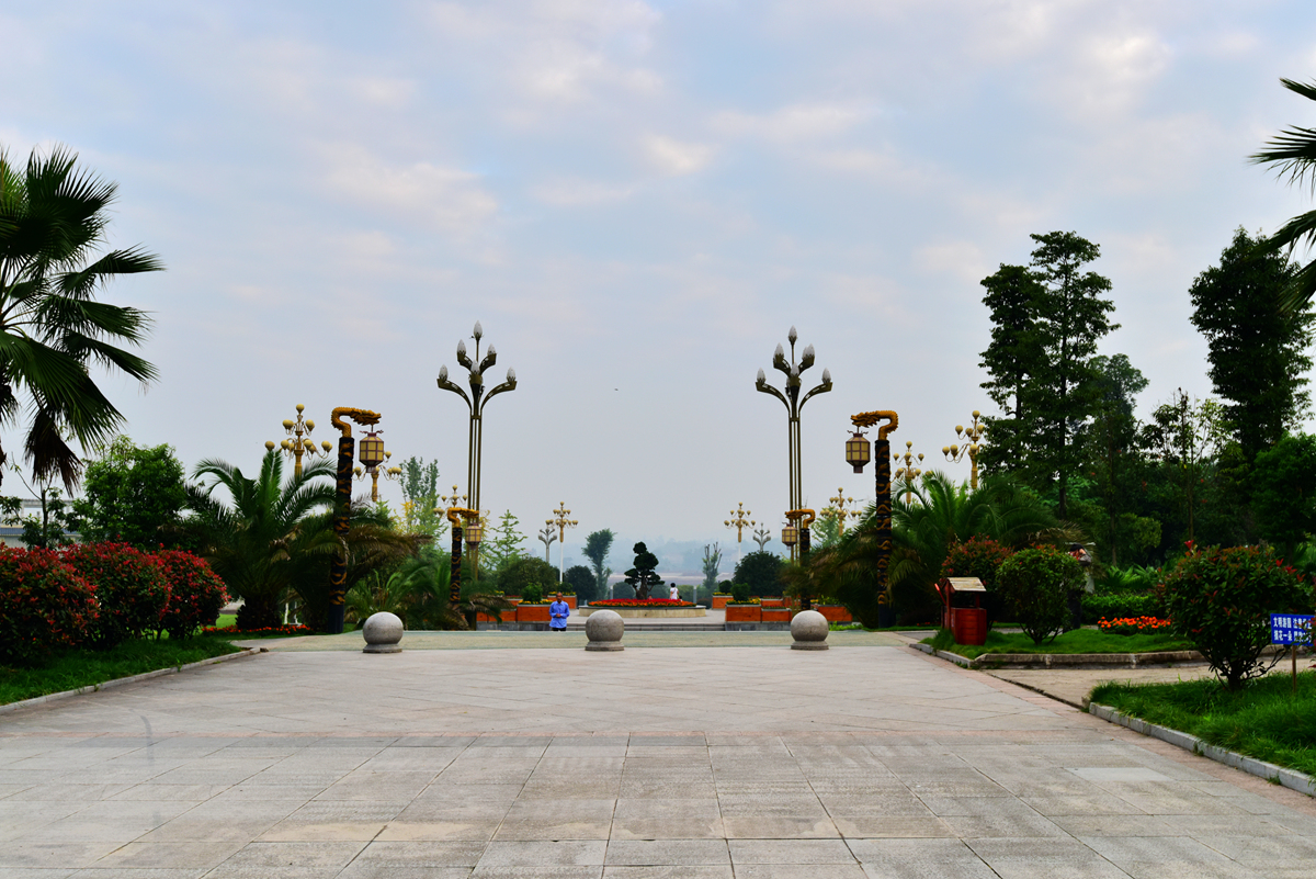 DSC_7863_.jpg