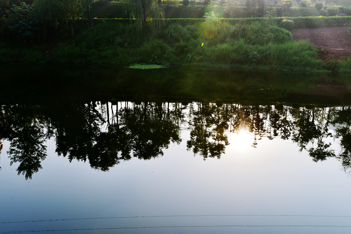 DSC_8163_.jpg