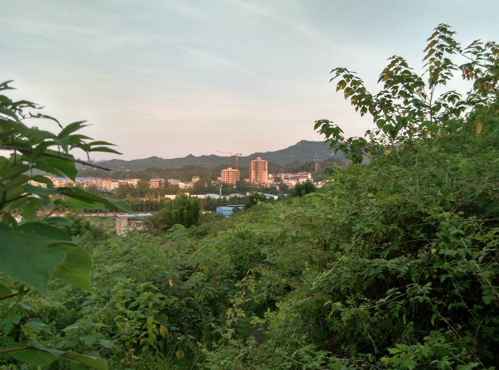 120851mhj54461x35err5i.jpg