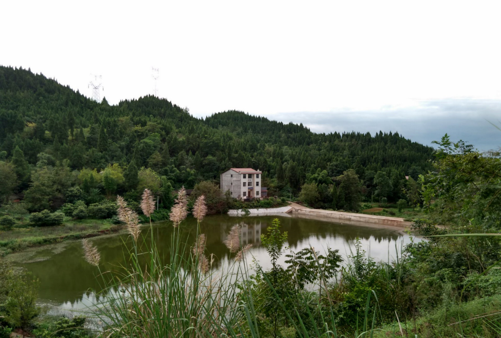 123025pqjzc96w6isijaj6.jpg