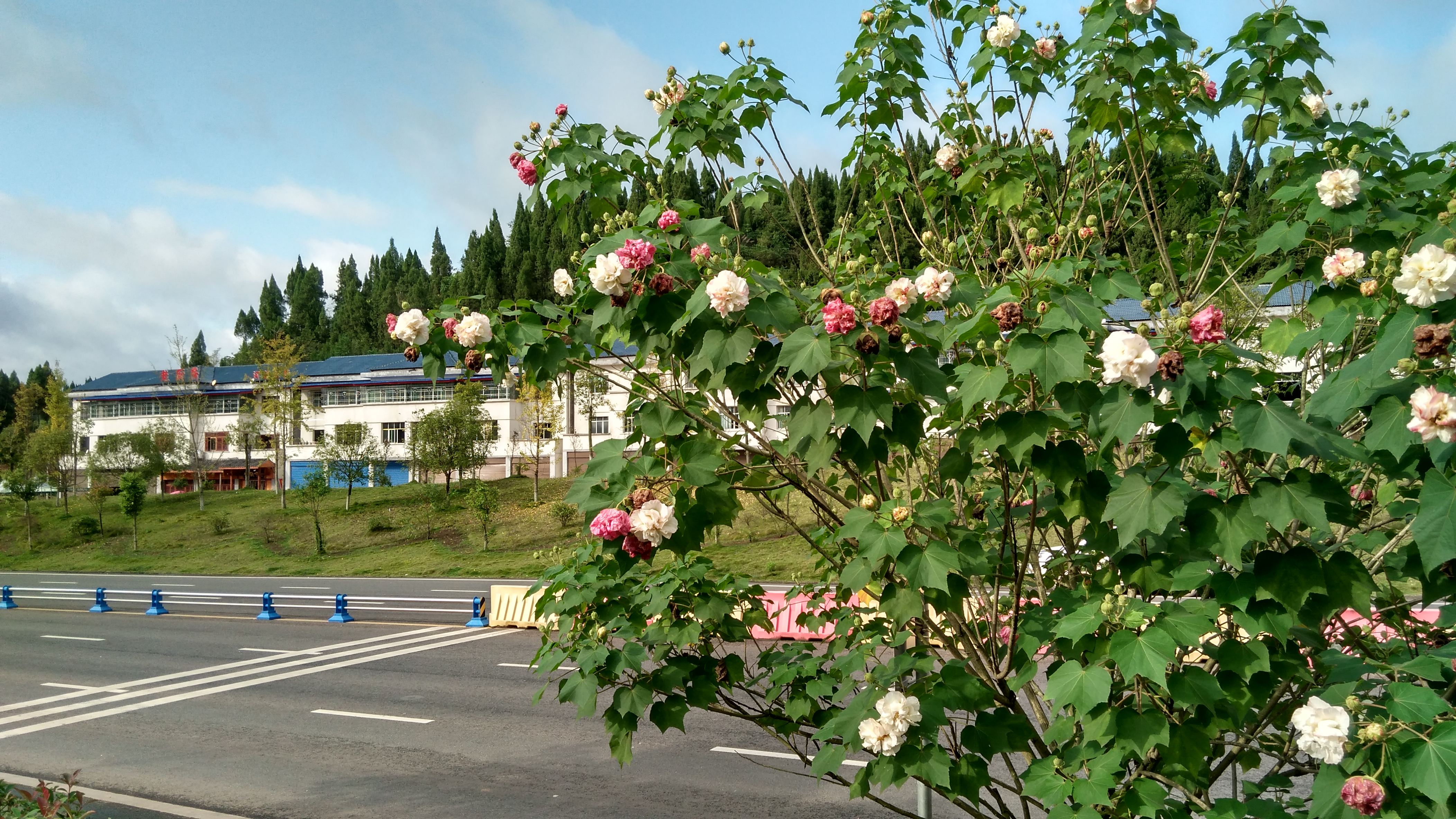 IMG_20161024_153702_HDR.jpg