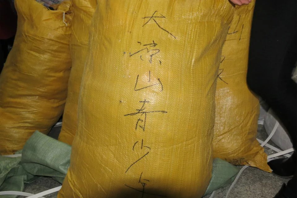 111025tzdex8x8m7ssxf7i.jpg