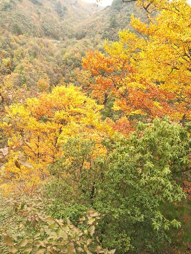 IMG_20161031_164548.jpg
