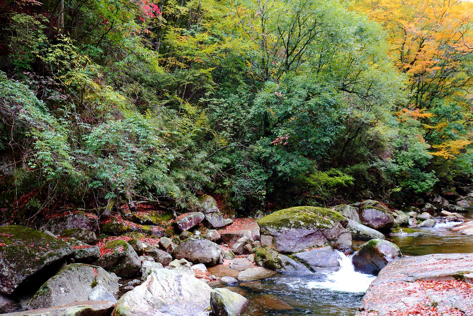 四川南江旅游景点图片