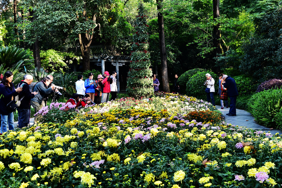 DSC_0159__.jpg