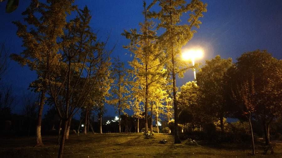 IMG_20161101_182944.jpg