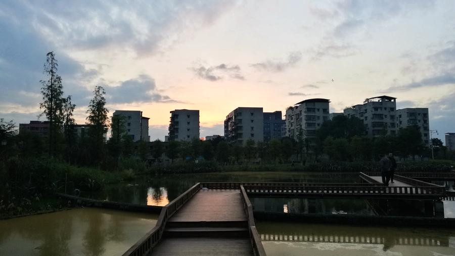 IMG_20161031_180217.jpg