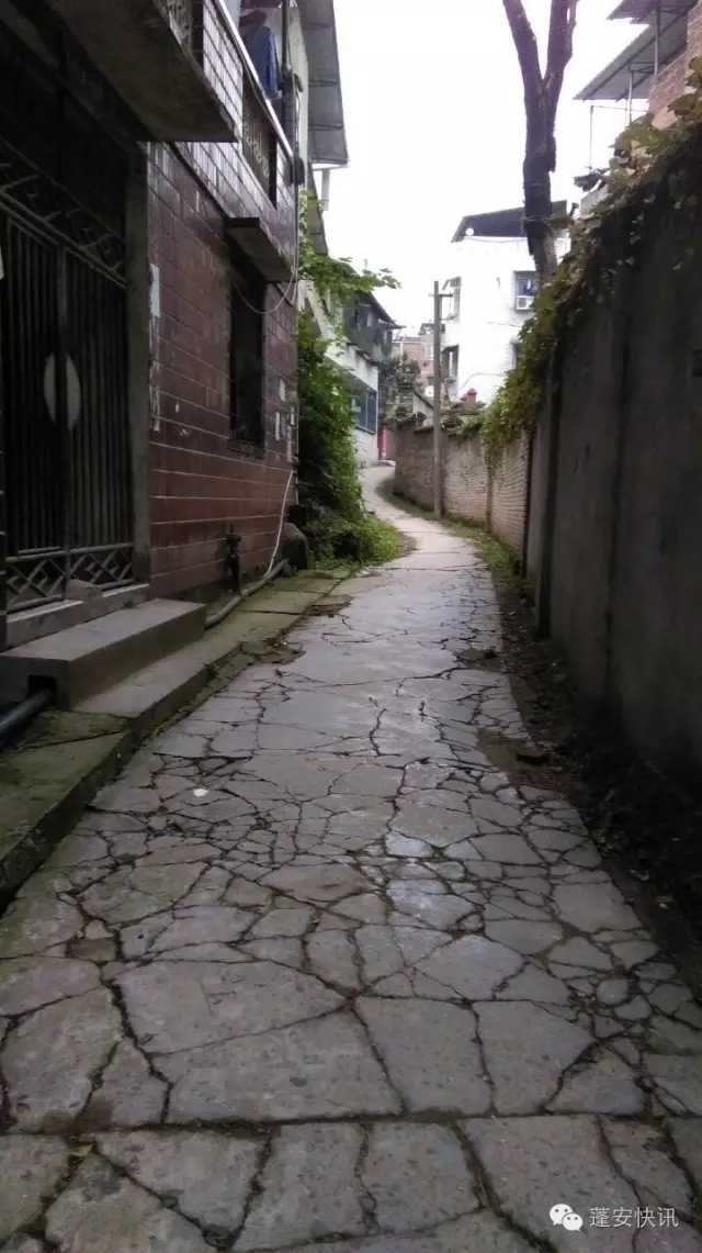 06.webp.jpg