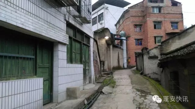 07.webp.jpg