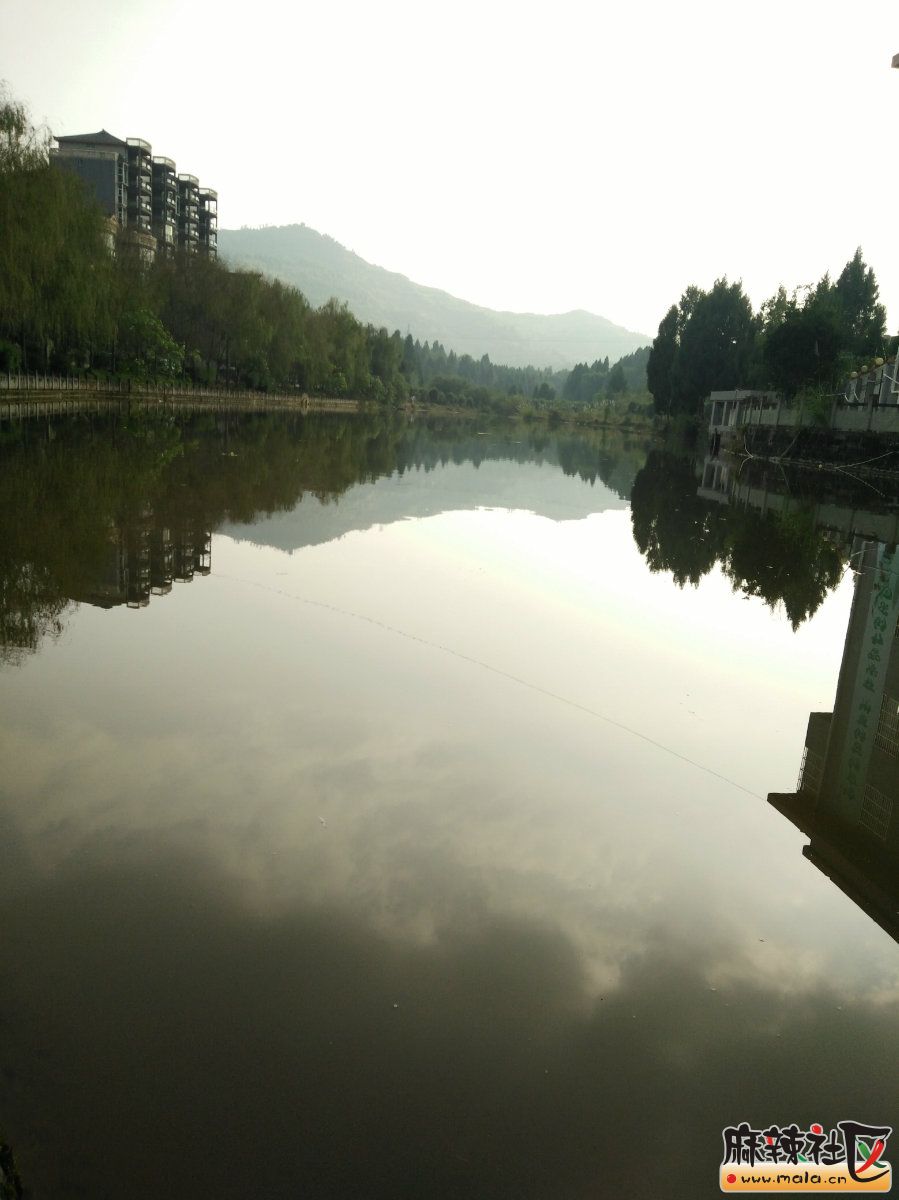104949pwurcmuhhmzmxrvk.jpg