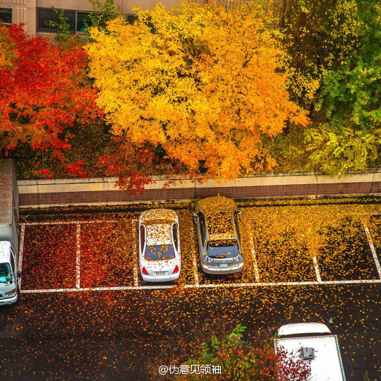 112011fivq39vz3ny0i7y9.jpg