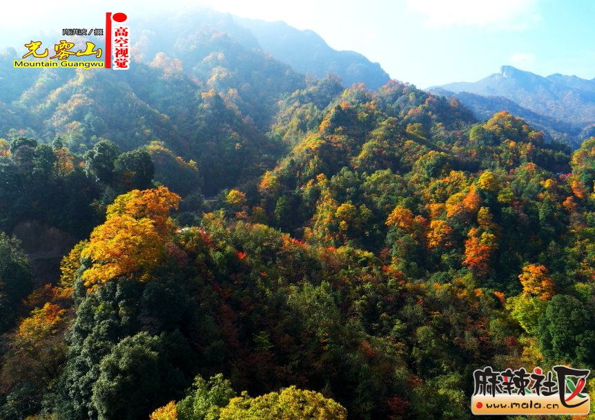 Ф鲨23.JPG