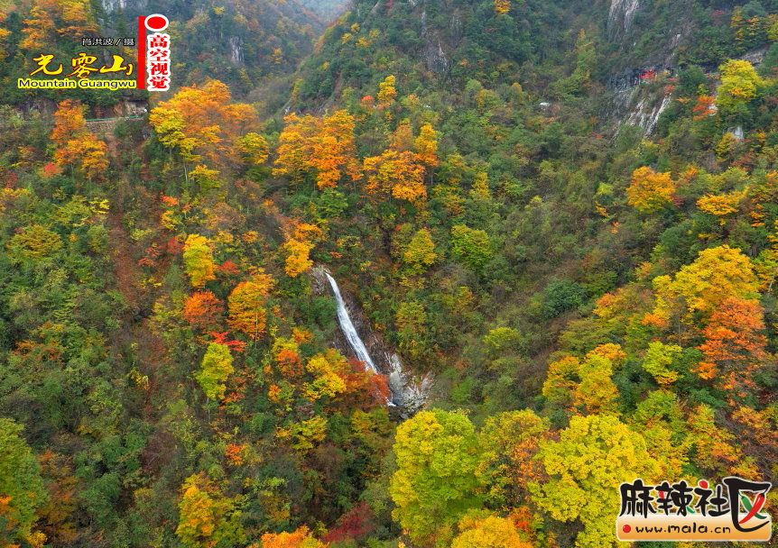Ф鲨24.JPG