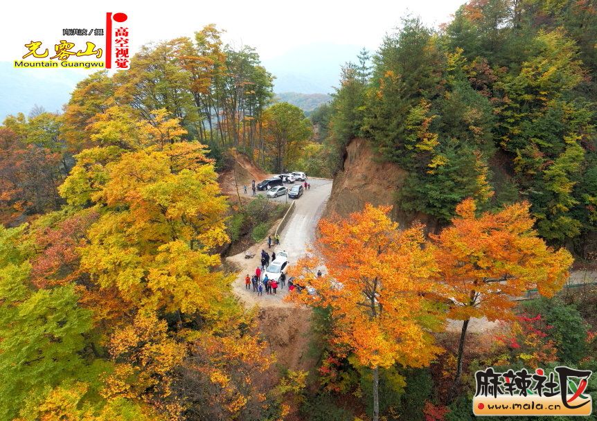 Ф鲨25.JPG