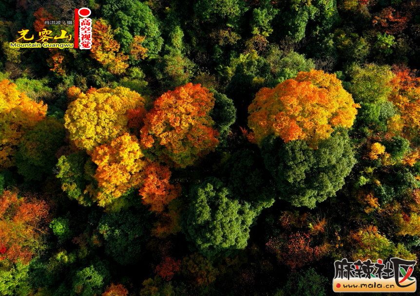 Ф鲨28.JPG