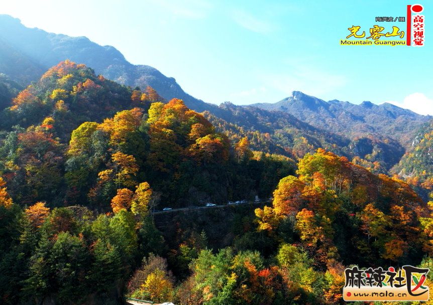 Ф鲨29.JPG